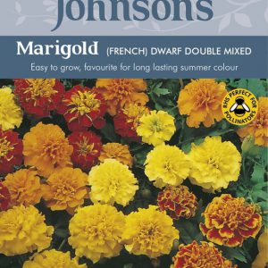 MARIGOLD (FRENCH) DWARF DOUBLE MIXED