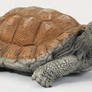 MEDIUM TORTOISE