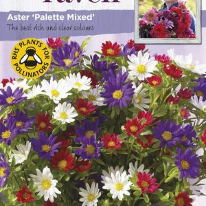 ASTER PALETTE MIXED