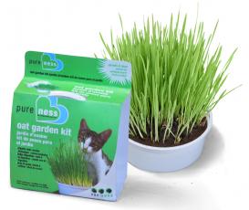 chewy cat grass