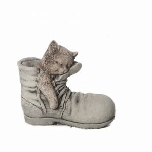 CAT IN SHOE