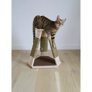 CATWALK COLLECTION CARAWAY