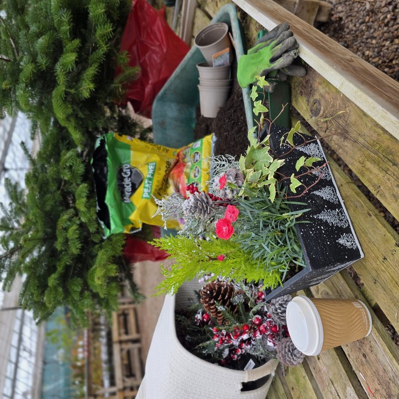 CHRISTMAS PLANTING ARRANGEMENT WORKSHOP