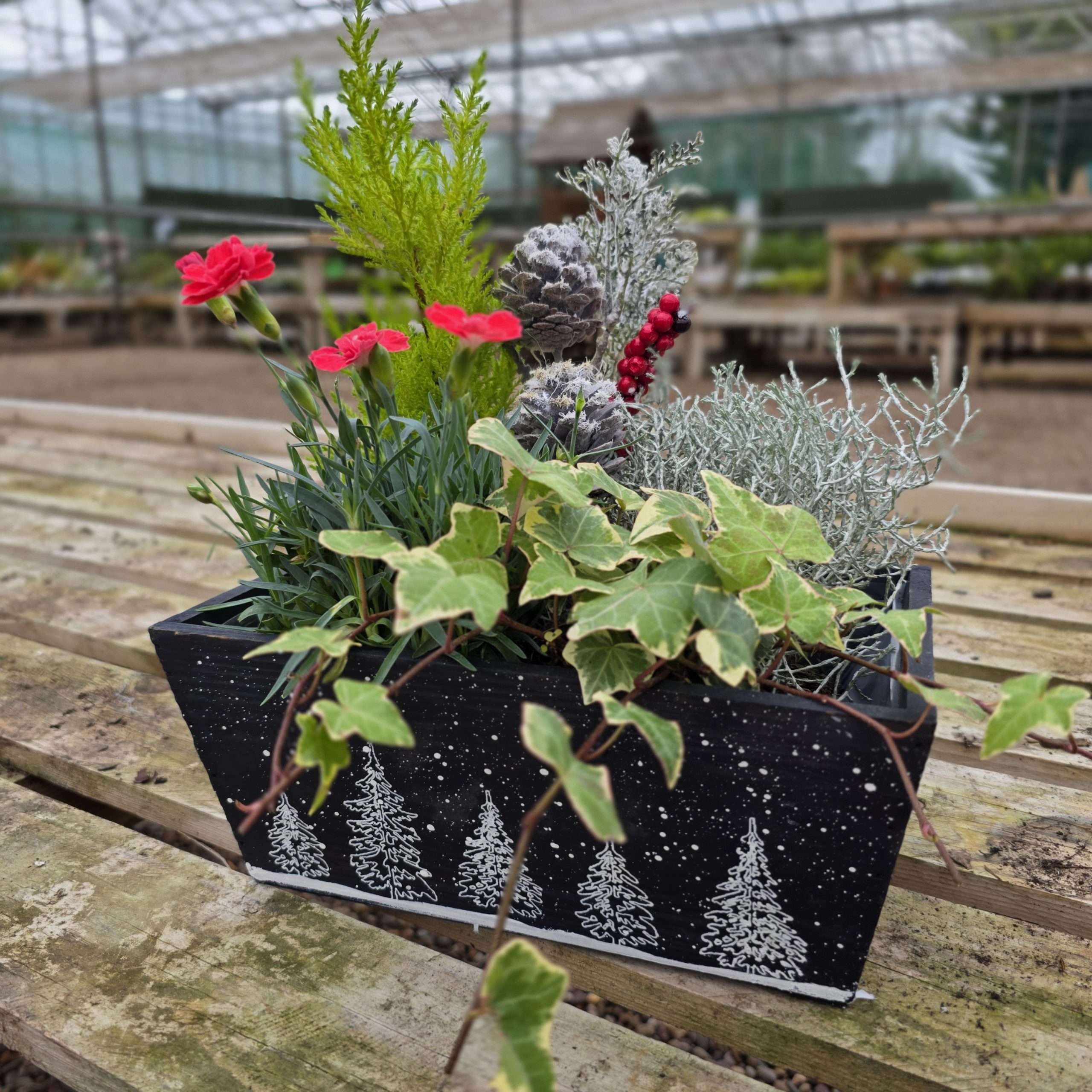 CHRISTMAS PLANTING ARRANGEMENT WORKSHOP